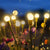 Solar Firefly Garden Lights – LED Outdoor Decor